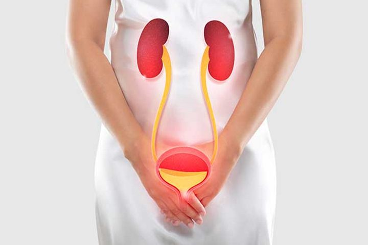 Leech Therapy Centre UK|Cystitis