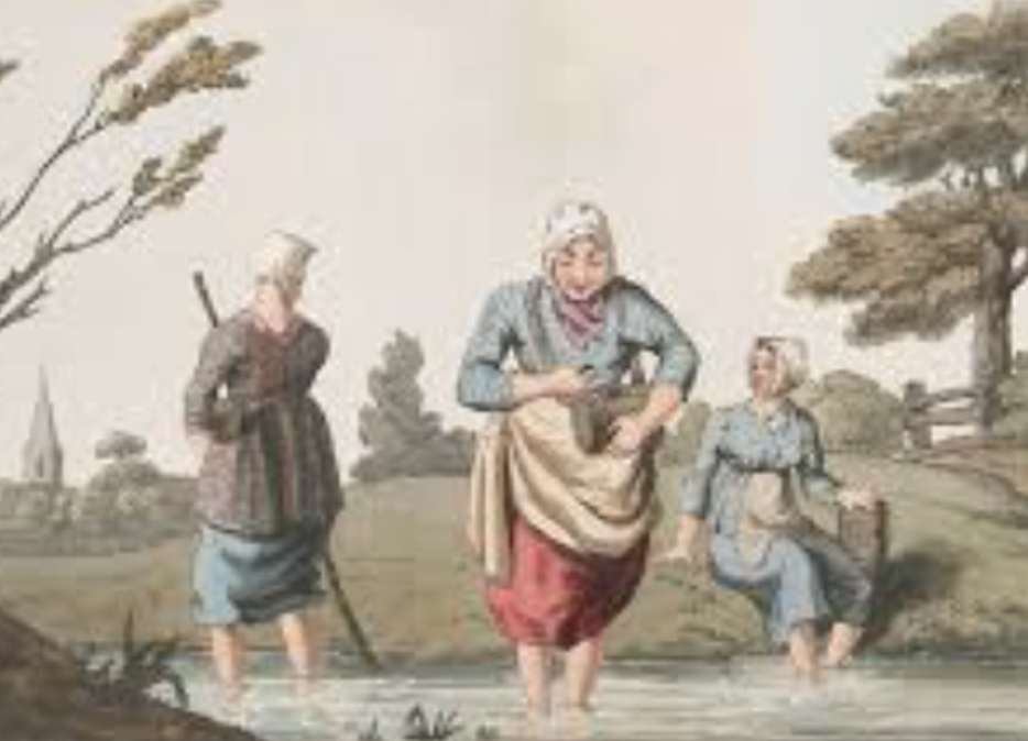 Leech Therapy Centre UK|About Leech Therapy